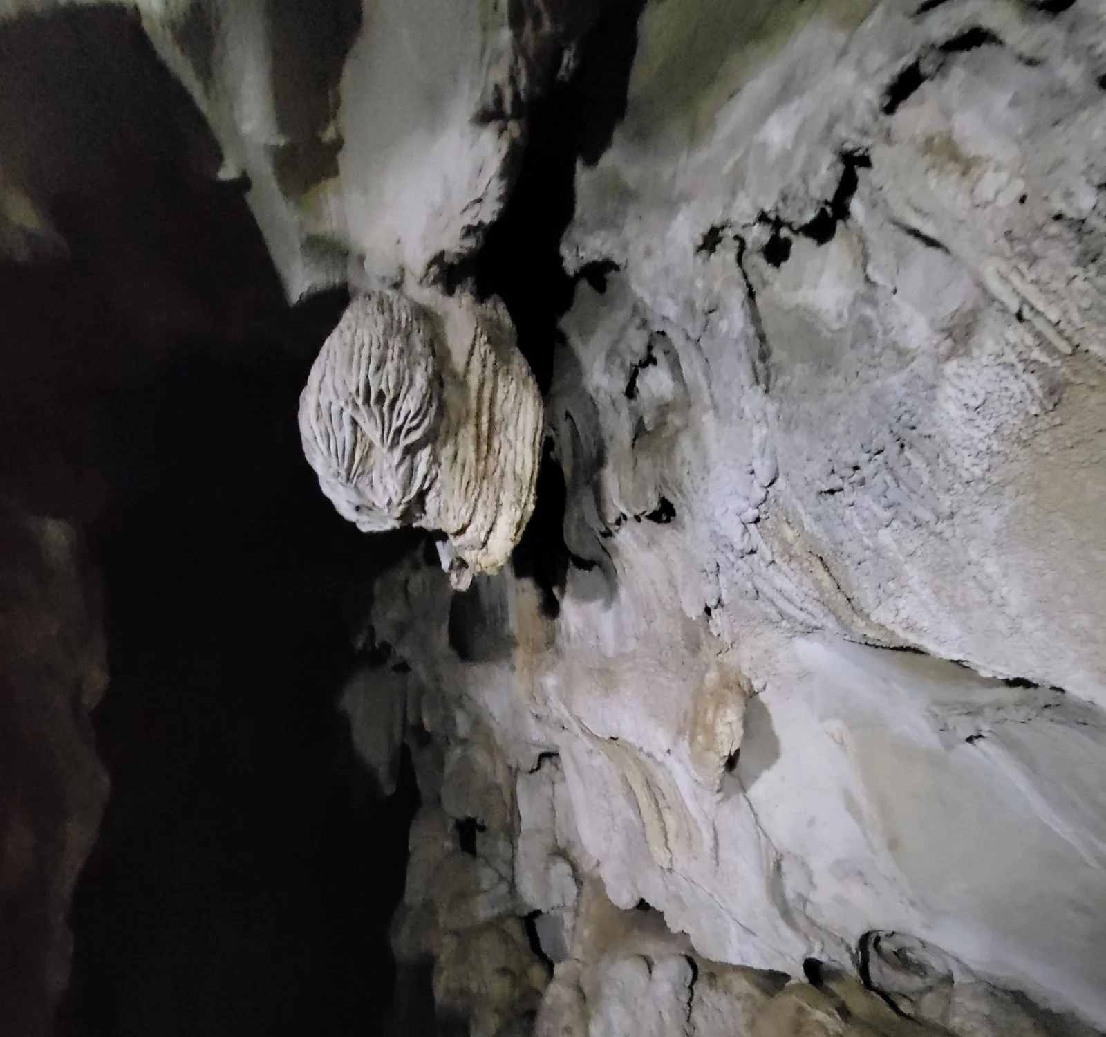 cueva de la Pileta prehistoric painting