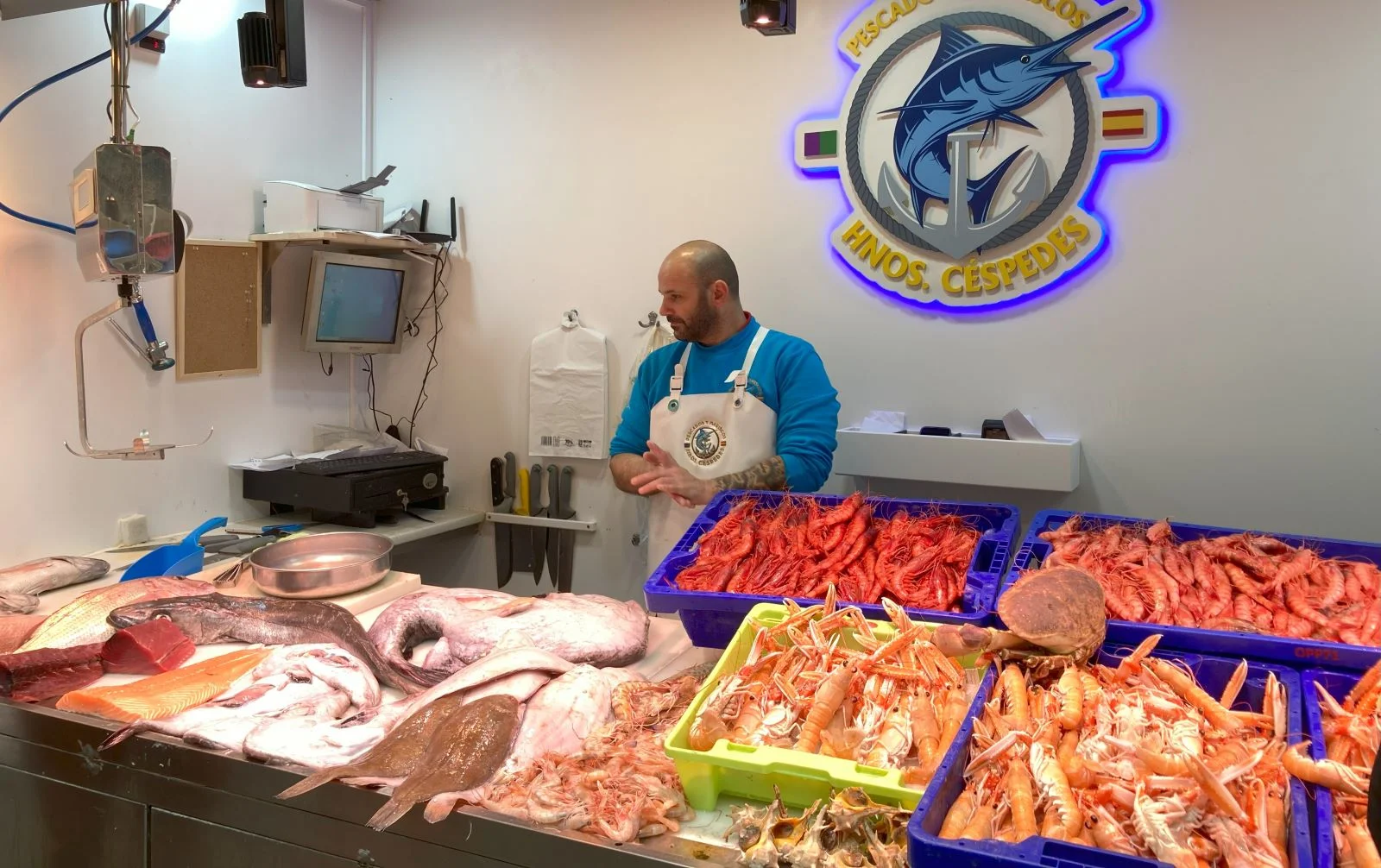 fish in market